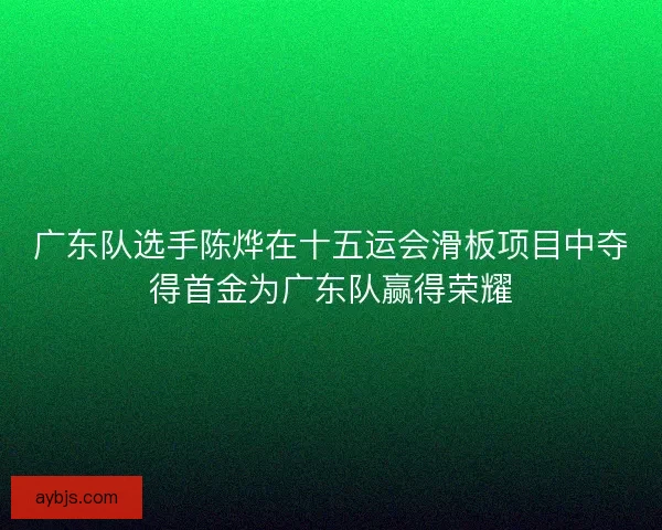 广东队选手陈烨在十五运会滑板项目中夺得首金为广东队赢得荣耀